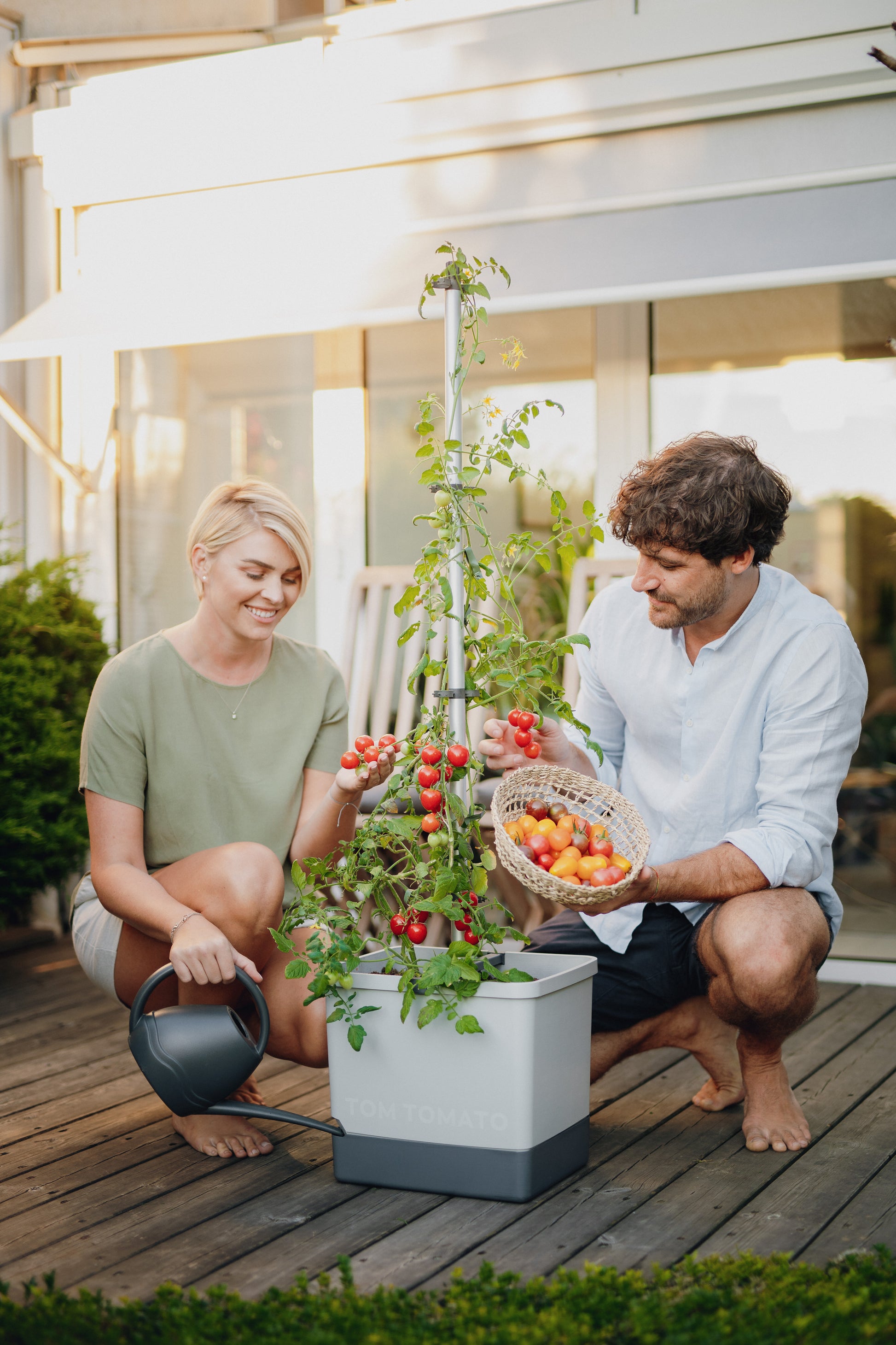 Tom Tomato   Der Tomatentopf mit Wassertank & Rankhilfe – Select ...